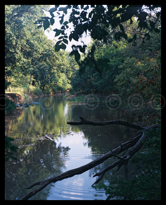 Flint Hills Stream