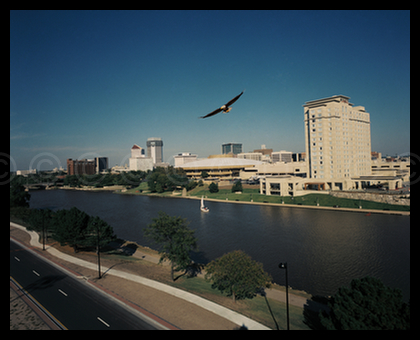 Eagle over Wichita